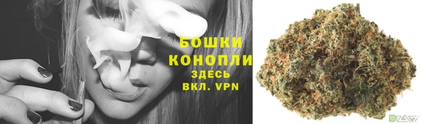 МДПВ Елабуга