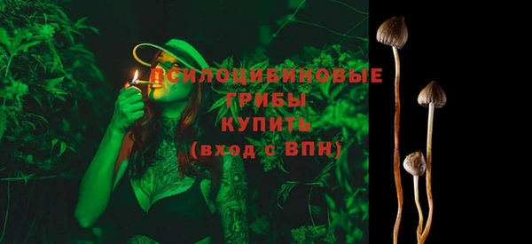 МДПВ Елабуга