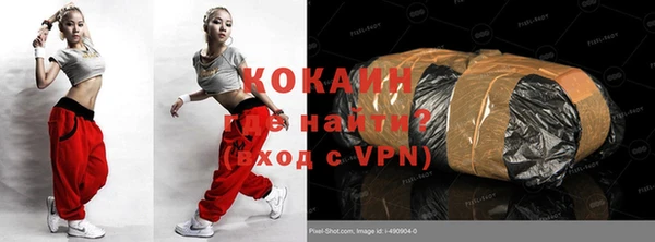 дурь Ельня