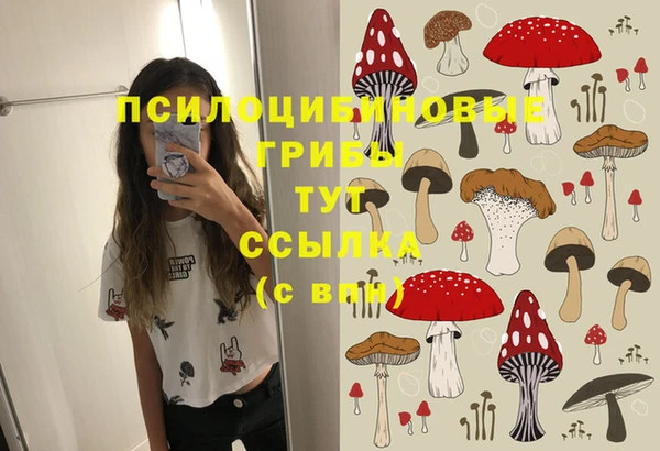 МДПВ Елабуга