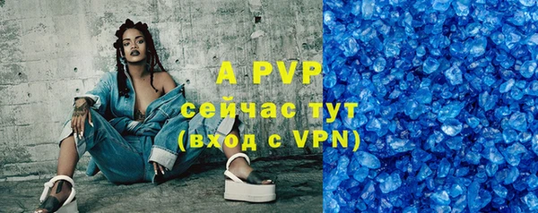 МДПВ Елабуга