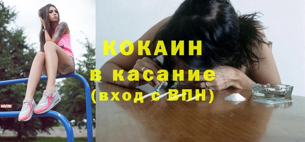 дурь Ельня